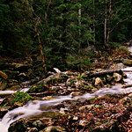 Bílá Opava - podruhé