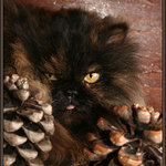 Cecílie čumí za šiškama...