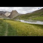 Nejbližší McDonald 999 km