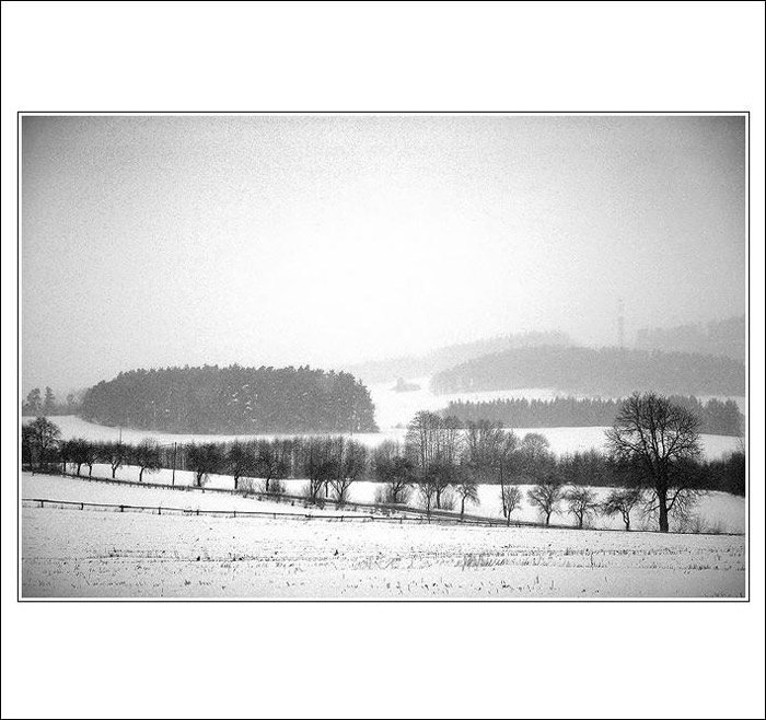 .: ZIMNÍ :.
