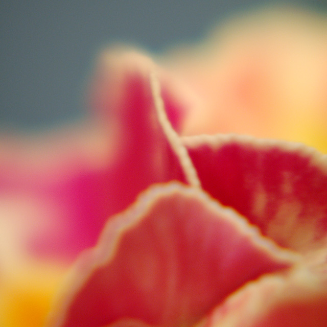 - another life -