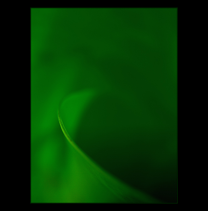 - green passion III. -