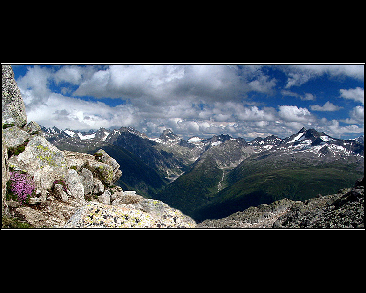 Švýcarské návraty III