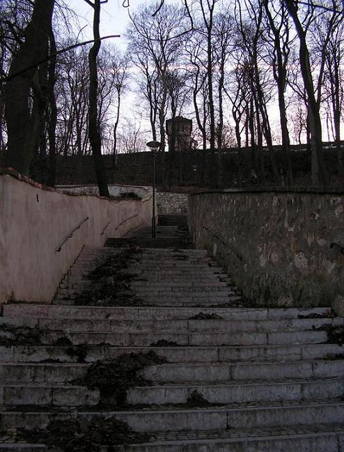 Nahoru či dolu...?
