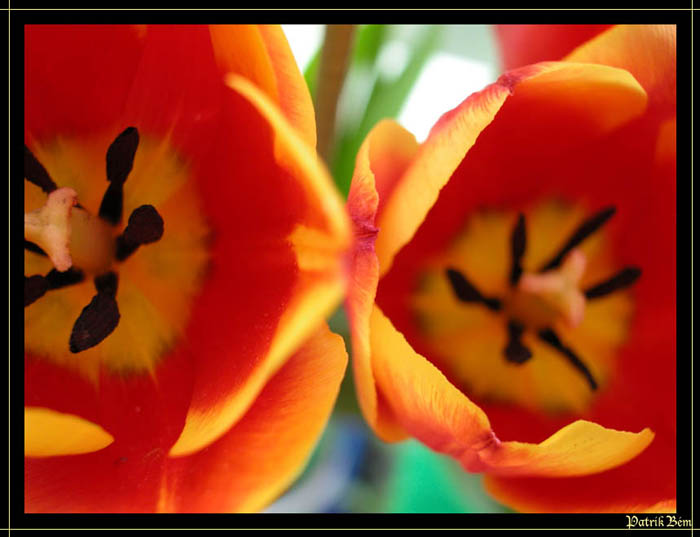 two