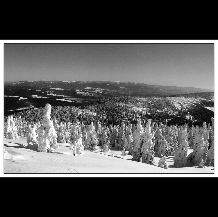 Pohlednice z Jeseníků