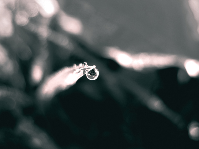 melodická akumulácia