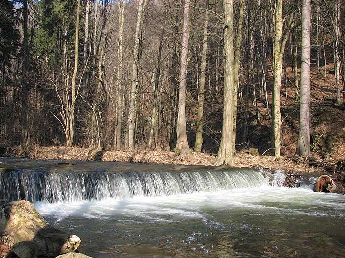 Splávek na bystřině
