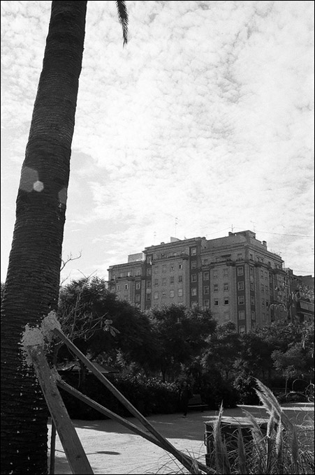 lapalma