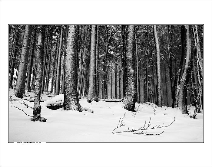 Taká zimná I