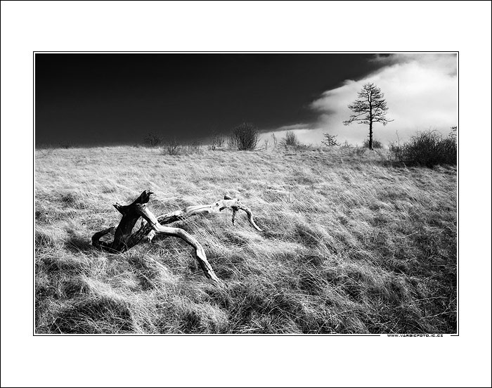 A v prach sa obrátiš..