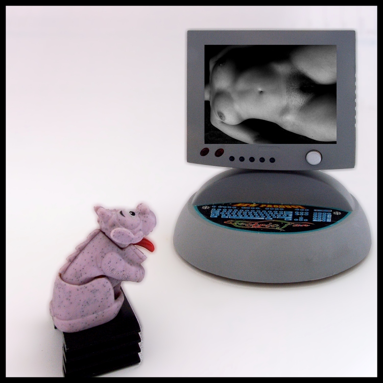 Profil štandardného návštevníka fotoserveru.