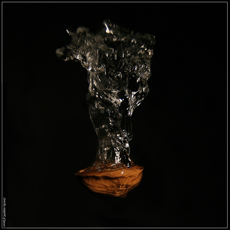 To by se Popelka divila...