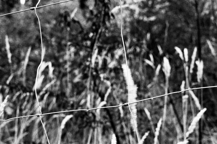 Na plot koukati a Bermudsky trojuhelnik videti