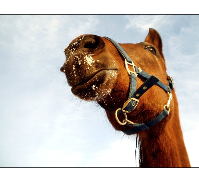 chlupata slecna s cumakem od snehu:)