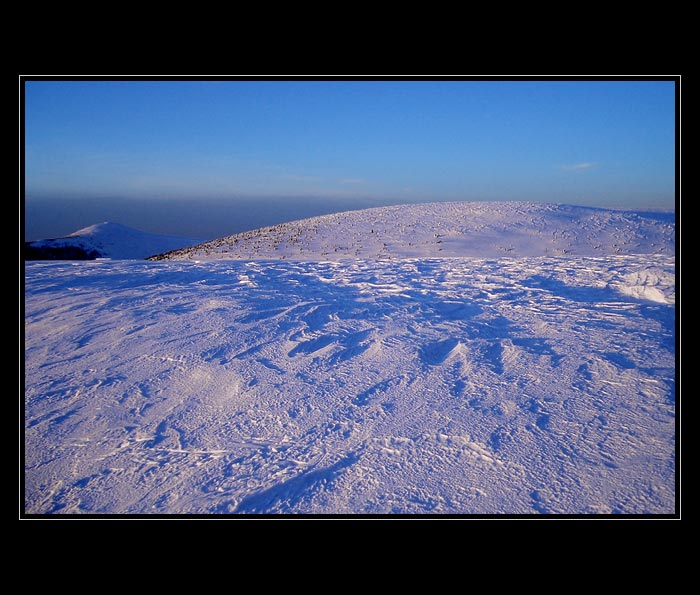 "nikde ani živáčka"