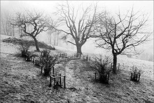 krkonosske pastoralie i