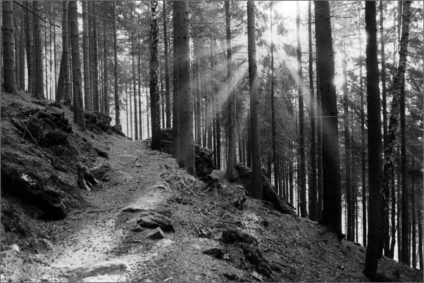 krkonosske pastoralie ii