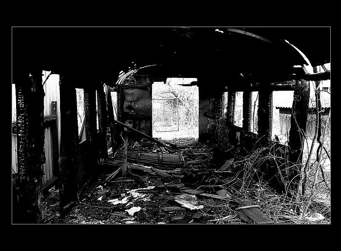 Dojeto - Poločas rozkladu