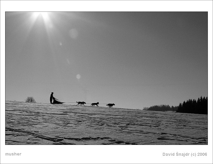 Musher