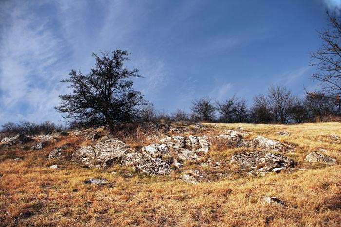 Prokopské údolí