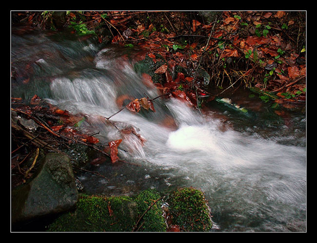 Oak creek