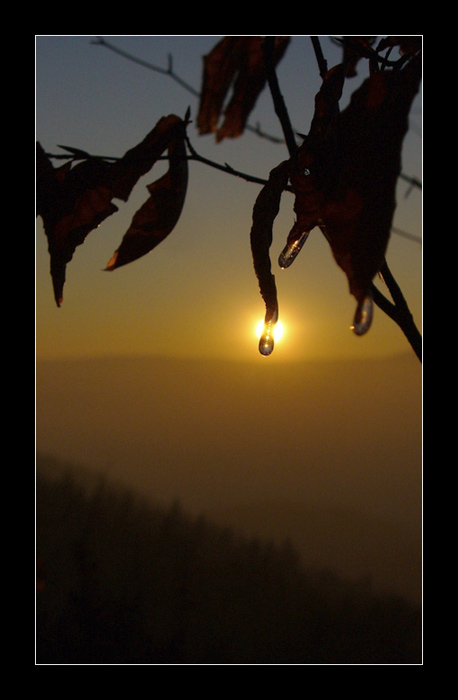 Sun blindness