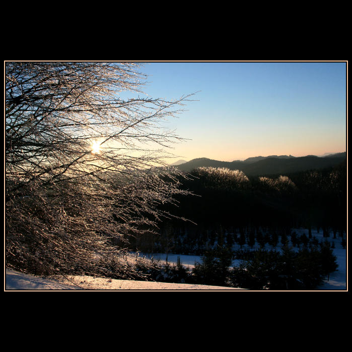 Zima 2006
