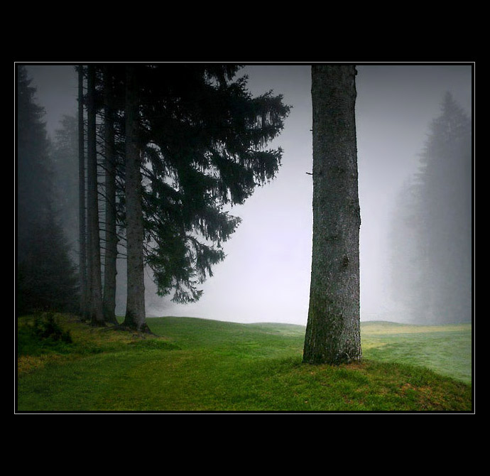 Ach, zase ta mlha ...