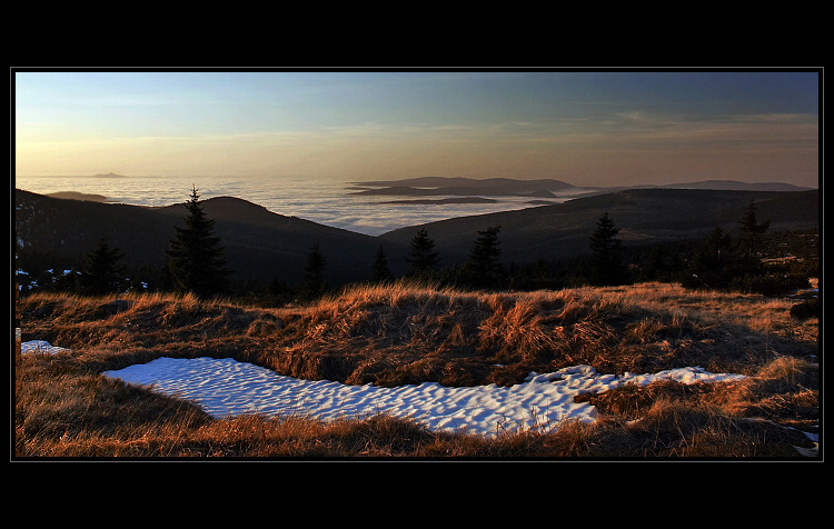 Podvečer na Pančavské louce
