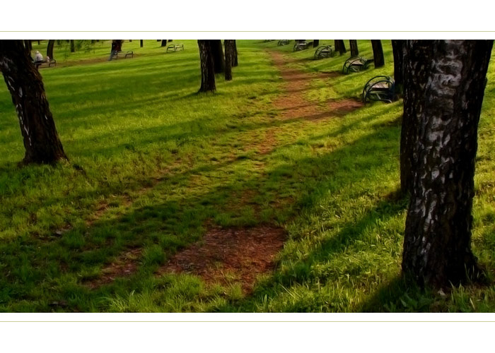 Park snov