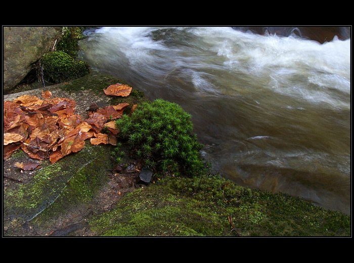  potůčková II.