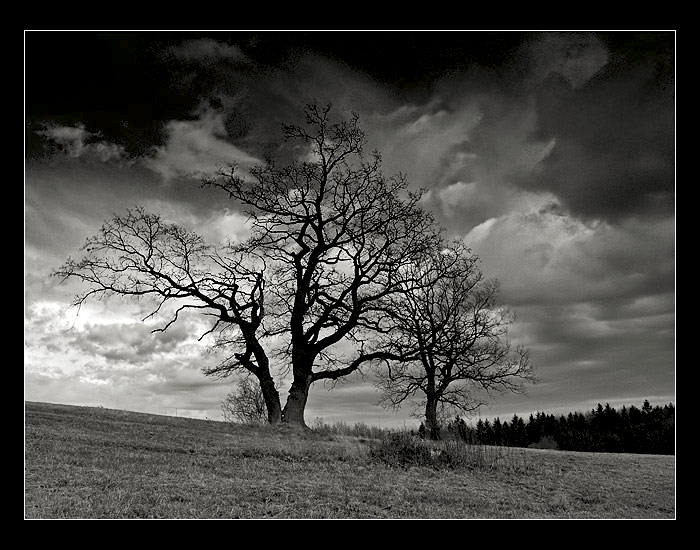 ...kamarádi do deště...