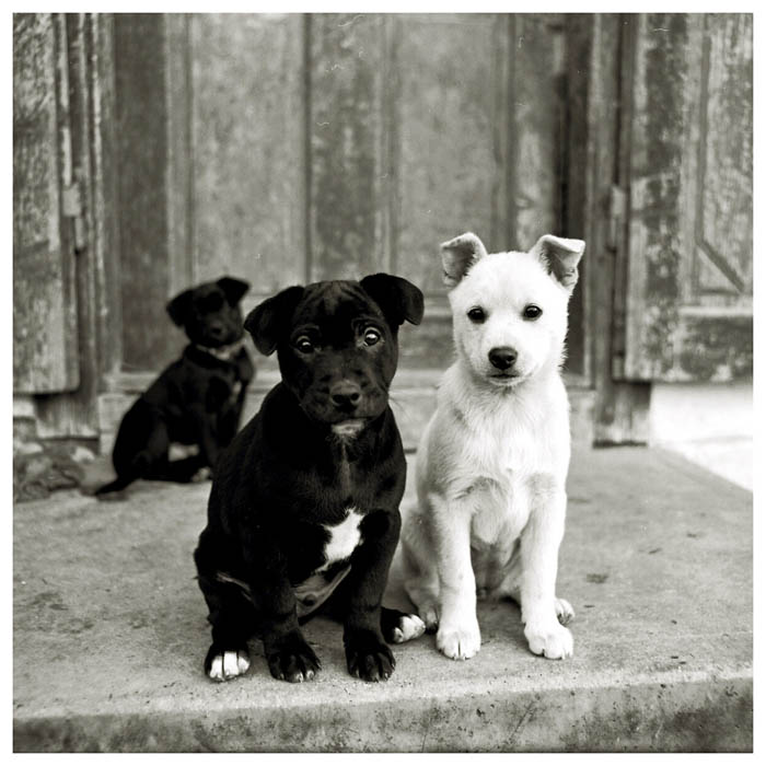 family portrait