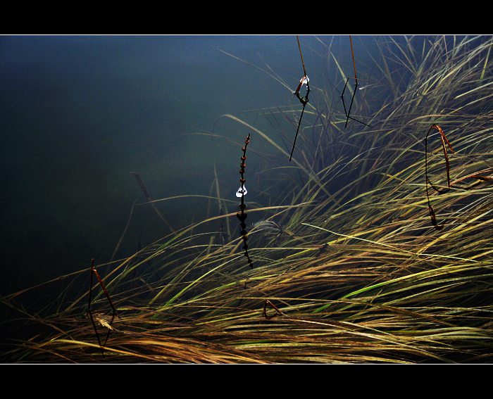 ...na hartské hladině...