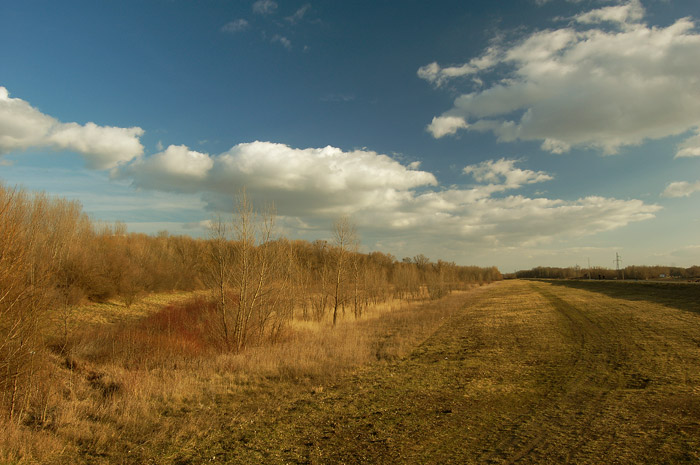 ..prechadzkova..