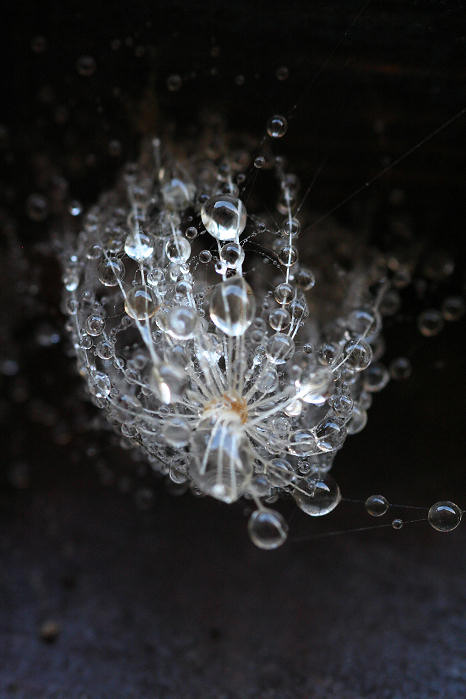 .................................