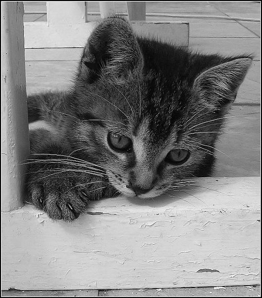 Připravený na útok