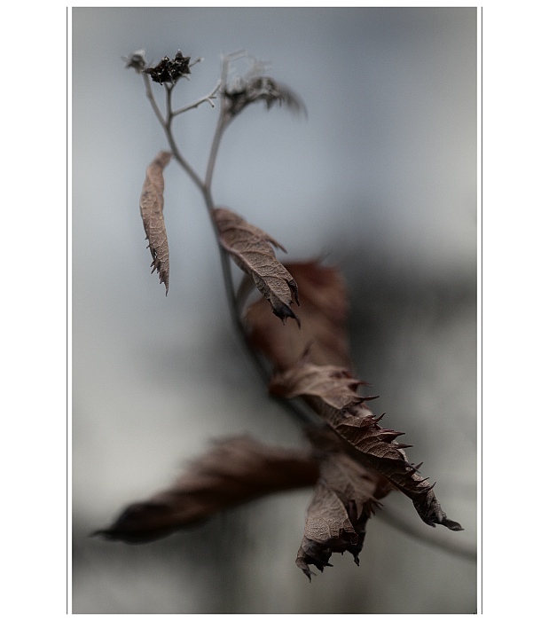 Fragmenty