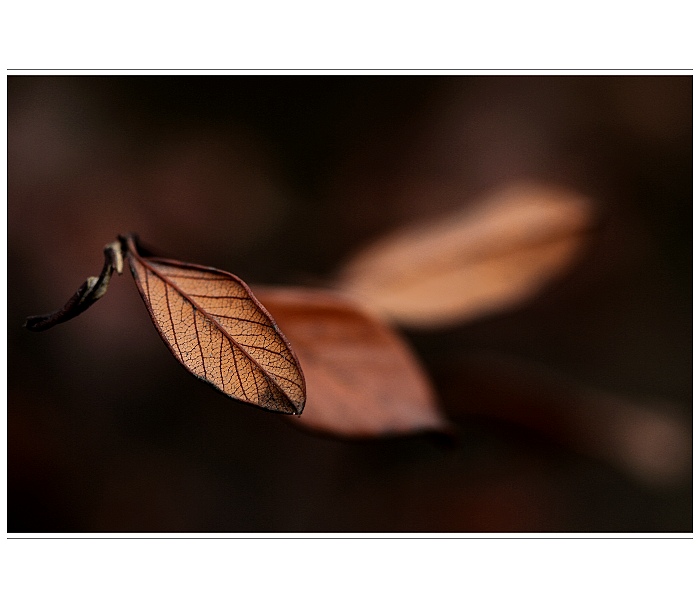 Fragmenty IV
