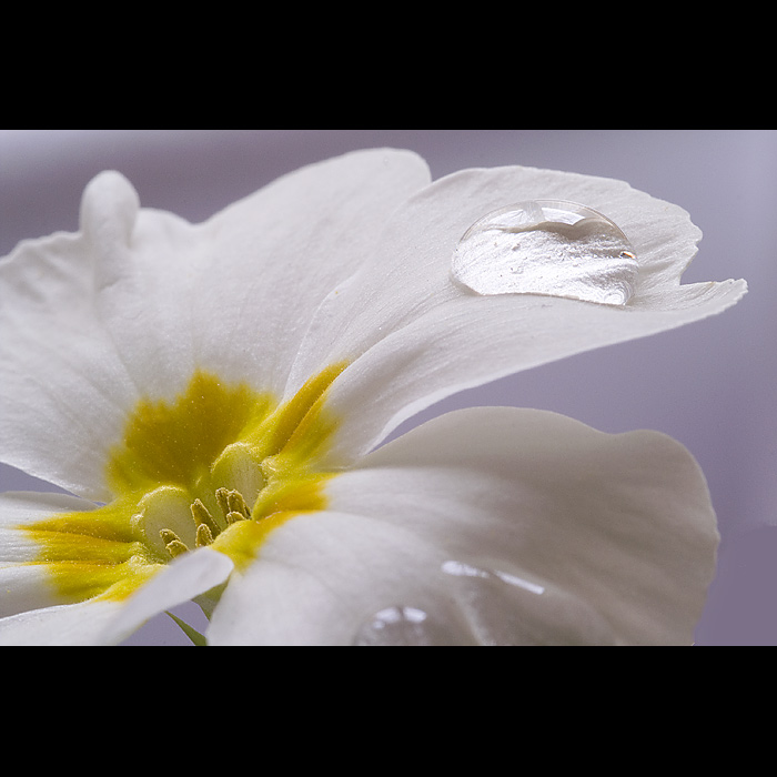 ... už, už jenom malý kousek