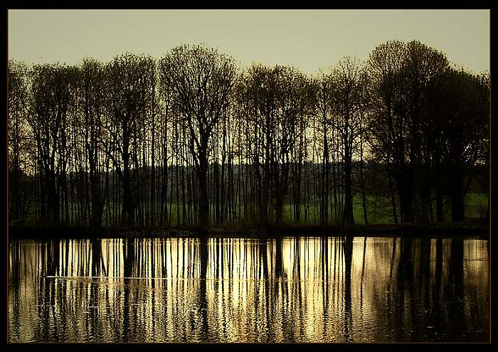 Večerní romance