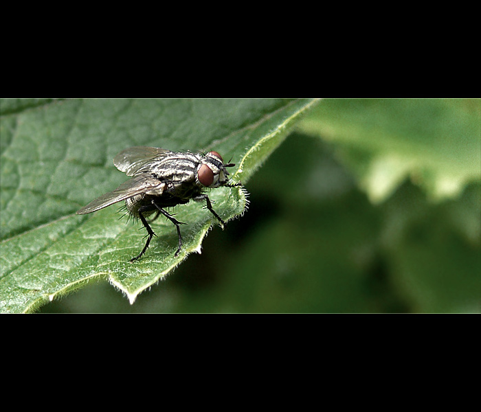 připravena ke startu II.