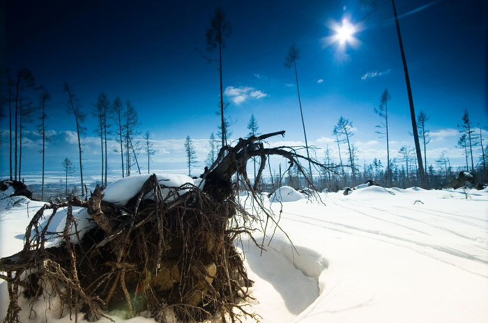 Snowland...