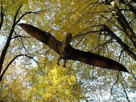 Podzimní Pteranodon