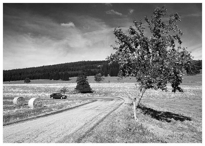 Jesenická pohodová krajinka