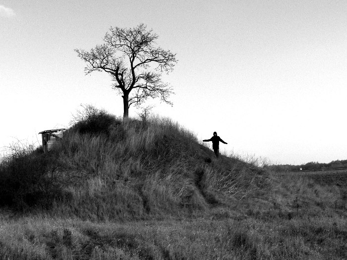 ...rozpravkovy strom...