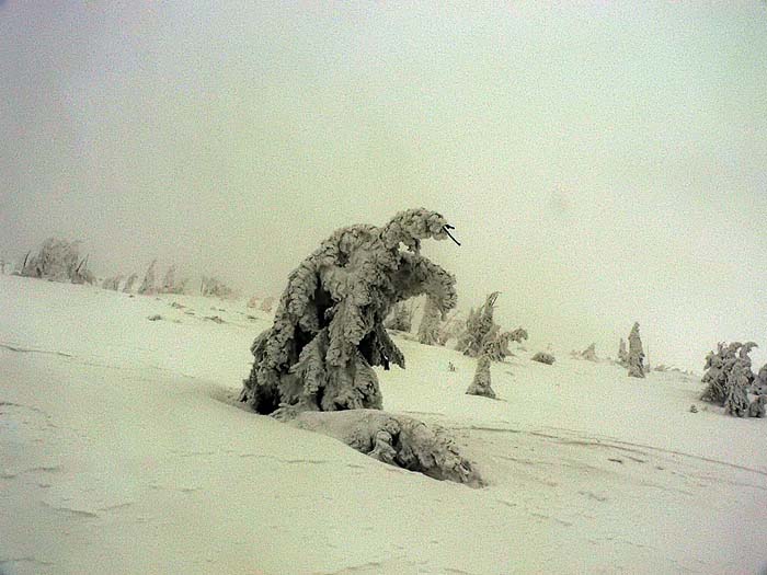 snow monster about to devour a fallen opponent of its own kind