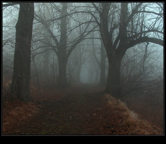 Pohled do duše ( 2)