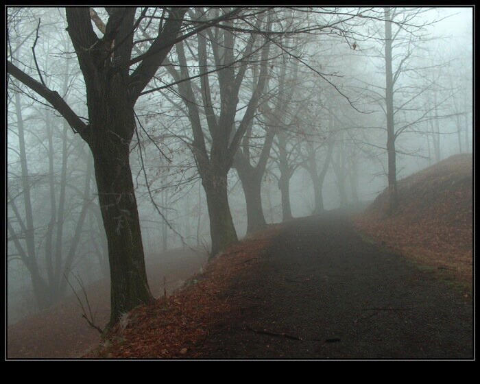 Pohled do duše  (3)